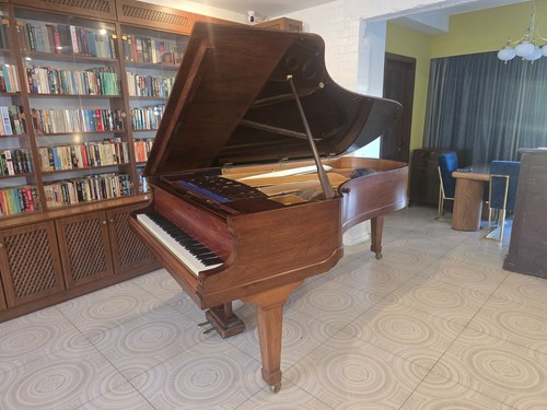 Bluthner grand piano - bluthner,