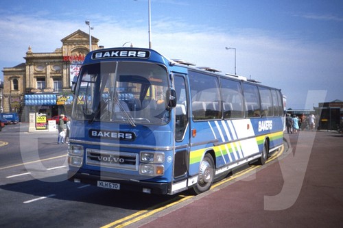 Coach photo bakers dolphin - photo,