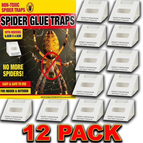 Spider killer traps poison - spider,