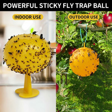 Fruit Fly Balls Fruit Fly