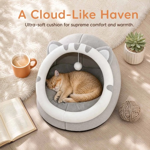 Pet cute cat warm - cat, house