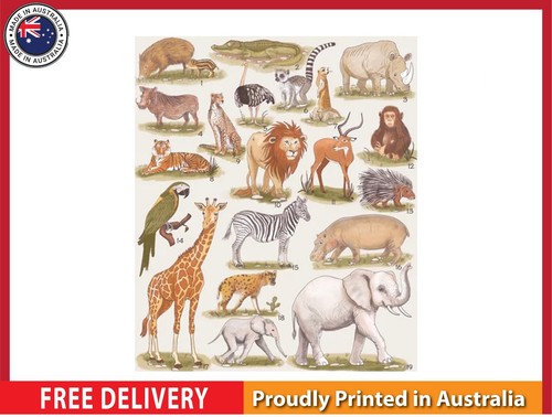 New safari animals - new, (laminated)