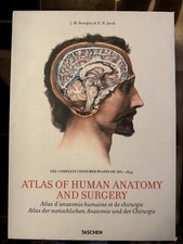 Atlas Of Human Anatomy And