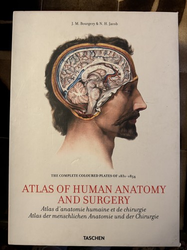 Atlas human anatomy and - atlas,