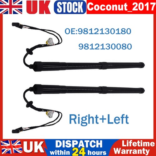 Left right electronic tailgate - electronic,