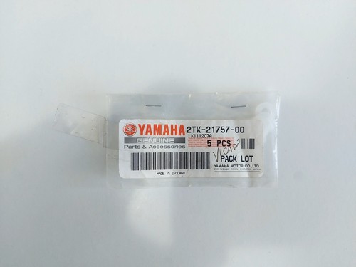 Yamaha yzf 250 - r1, wr