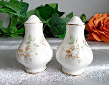 ROYAL ALBERT HAWORTH SALT AND PEPPER SHAKERS CRUET SET