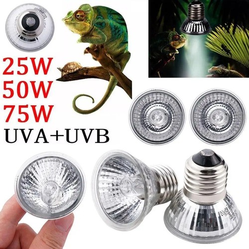 Reptile light bulb heat - light, uv