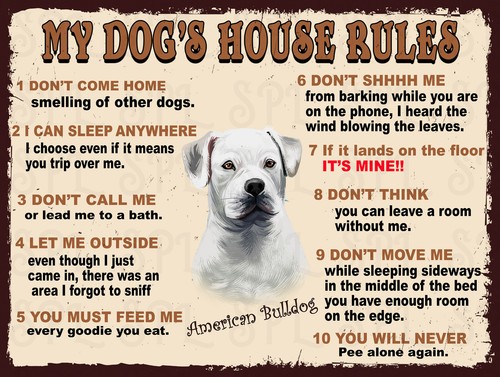 Dog house rules american - house,