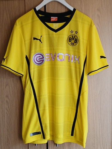 Borussia dortmund 2013 - borussia, 2013/14