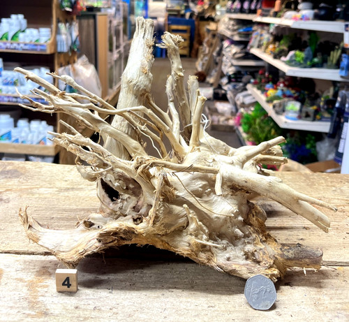 Med large shinrin root - med/large,