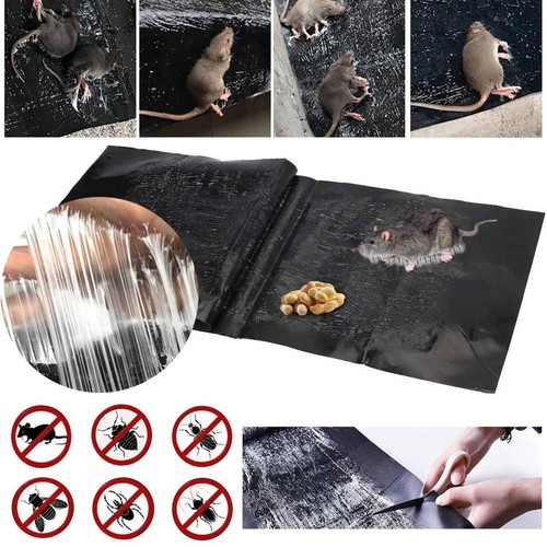 Large size mousetraps rat mice - size,