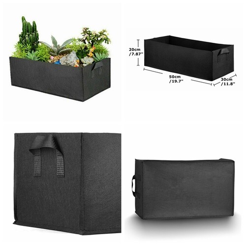 5pc garden flower vegetable - flower,