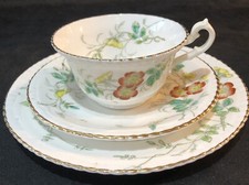 Antique Hand Coloured Floral