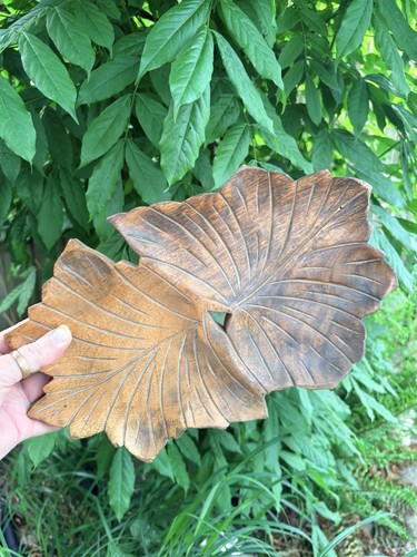 Oak wood carved - wood, leaf