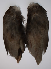 Select Complete set of Bronze