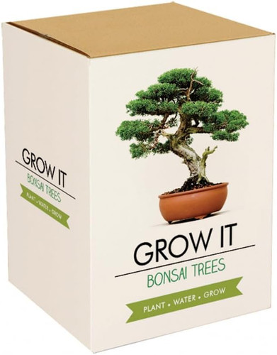 Bonsai trees - bonsai,