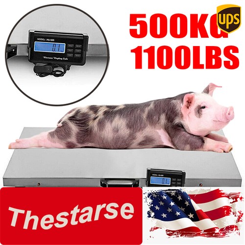 1000lbs animal scale - scale, stainless