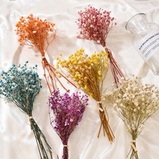 Mini Natural Dried Flowers