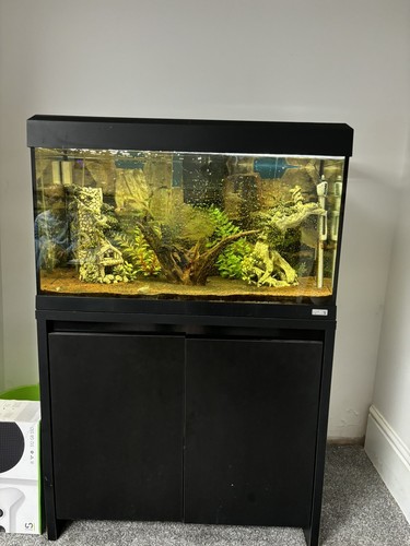 Fluval roma 125 with - fluval,