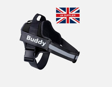 Personalized Dog Harness NO