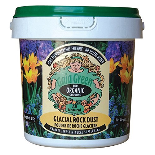 Gaia green glacial rock dust - green, 2