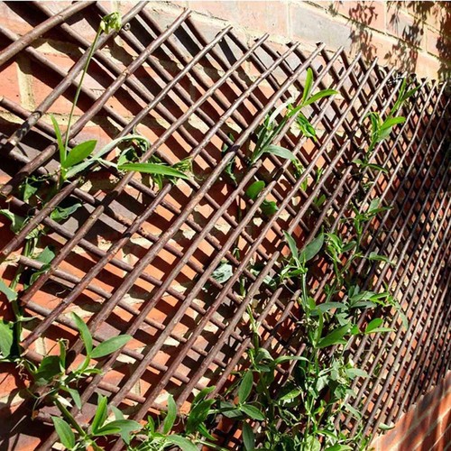 Willow decorative landscaping - willow,