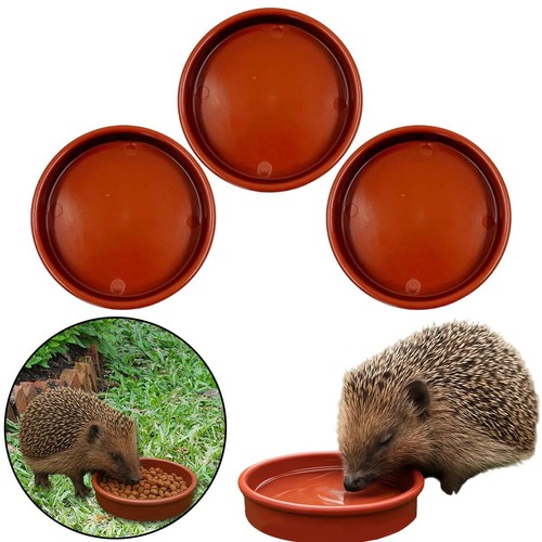 Pack hedgehog feeding and - hedgehog,