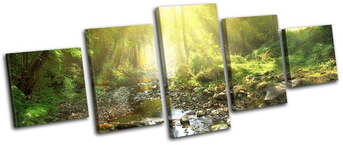 Woodland river stream - stream, forest