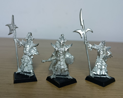 Dark elf black guard - guard, of