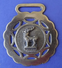 English Brass Horse Harness Medallion - Deer or Stag - "MINEHEAD"