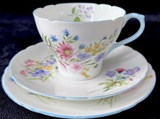 Shelley “WILD FLOWERS”