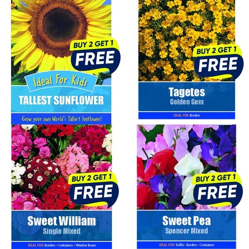 Flower seeds plants borders - seeds,