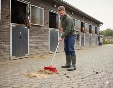 Outdoor Garden Broom Yard