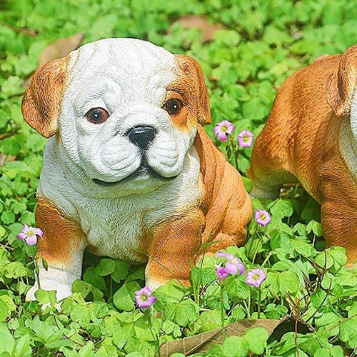 English bulldog puppy statue - bulldog,