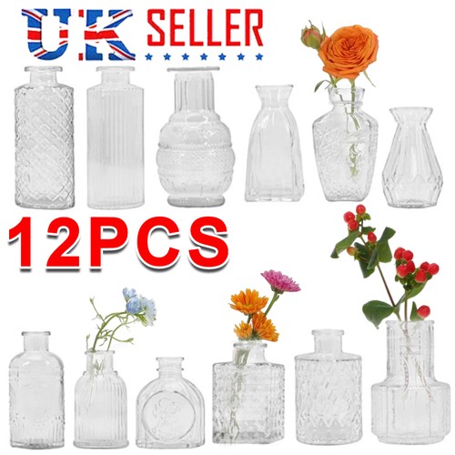 12pcs glass bud vase - bud,