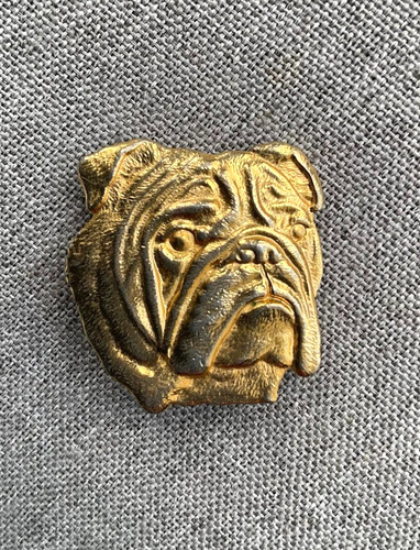 British bulldog gold tone - gold,