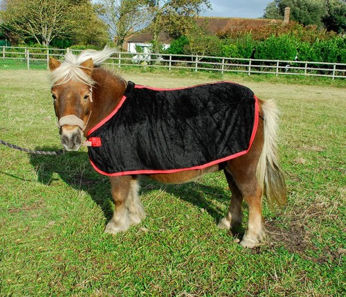 Rhinegold small pony - small, coral