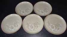 5 x DENBY DAYBREAK DINNER