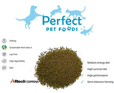  Coppens Advance0.5-0.8mm