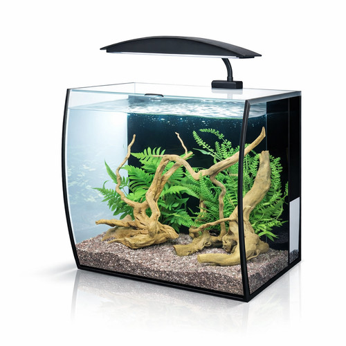 Aqua one arc - one, aquarium