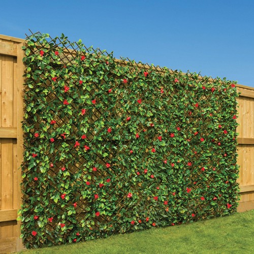 Expanding artificial trellis - expanding,