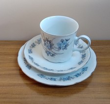 mitterteich bavaria forget me