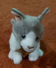 Anna Club White / Grey cat with tag. FREE UK POSTAGE 