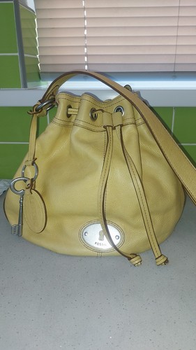 Vintage fossil banana yellow
