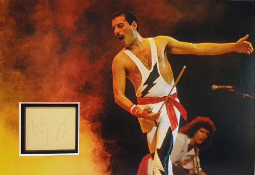 Freddie mercury signed 14x10 - freddie,