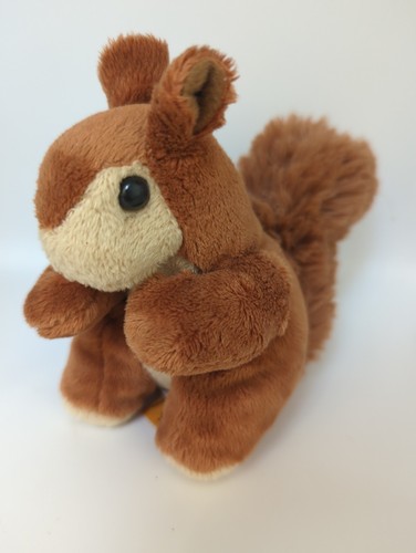 Living nature red squirrel - living,
