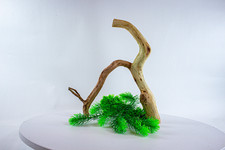 Manzanita Aquarium Driftwood