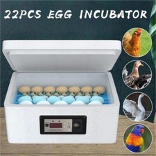 Egg Incubator For Hatching