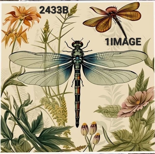 Dragonflies table paper - x, dragonflies/table